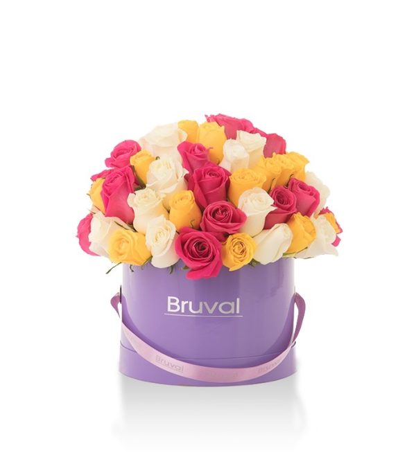 BVBOX0007