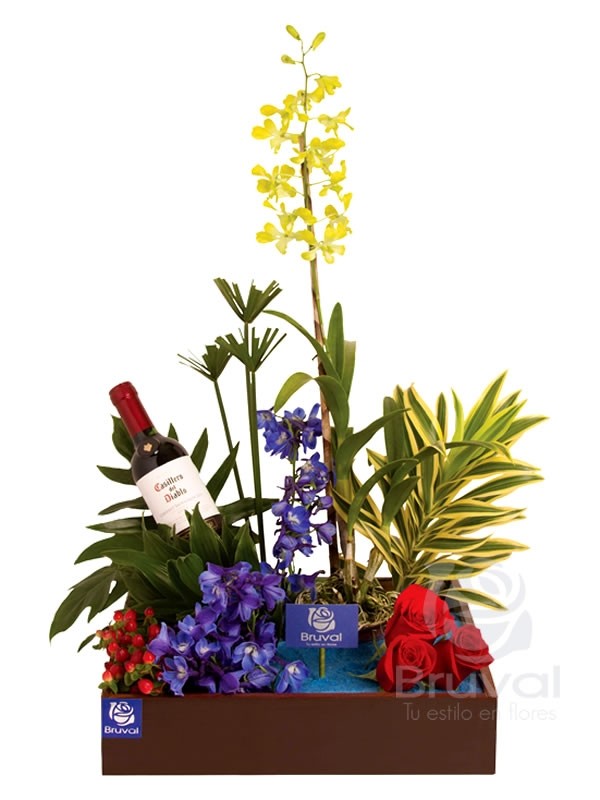 BV0145 – BRUVAL – Flores, Rosas Preservadas y Detalles en Ecuador