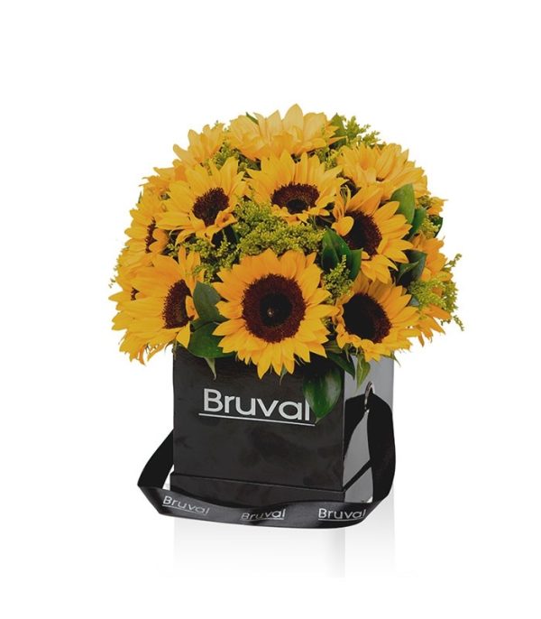 BVBOX0020