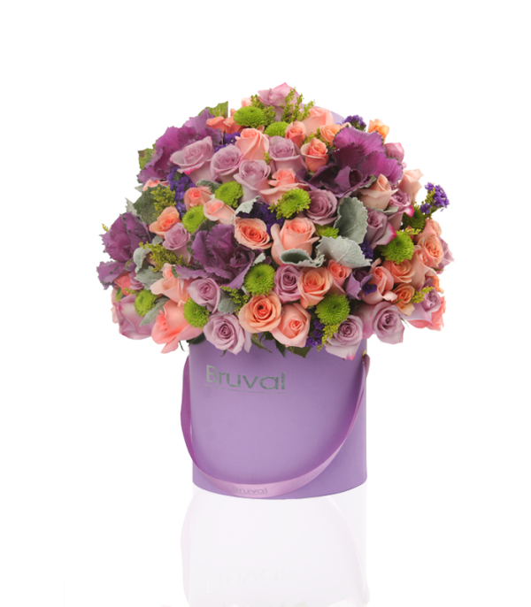 BVBOX031