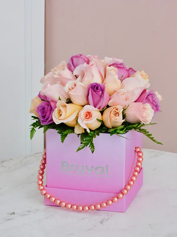 BVBOX1010