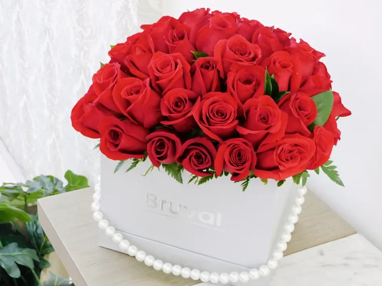 BVBOX1025